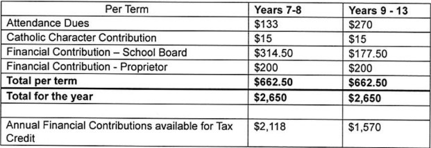 2025 Financial Breakdown